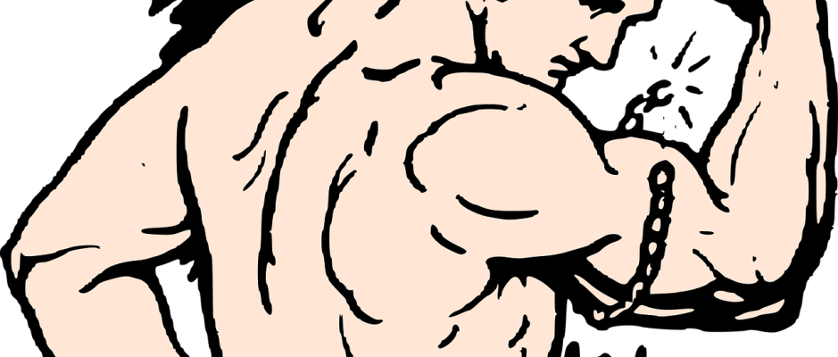 muscles-ga7c026525_1280